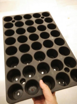 Seedling tray (40 holes)
